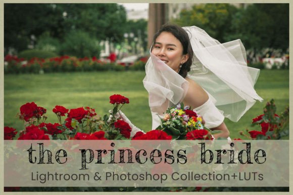 Download Princess Bride Lightroom Presets Desktop - Bride lightroom presets Collection